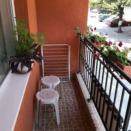 Flower Μπαλτσίκ