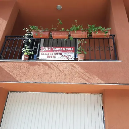 Flower Μπαλτσίκ